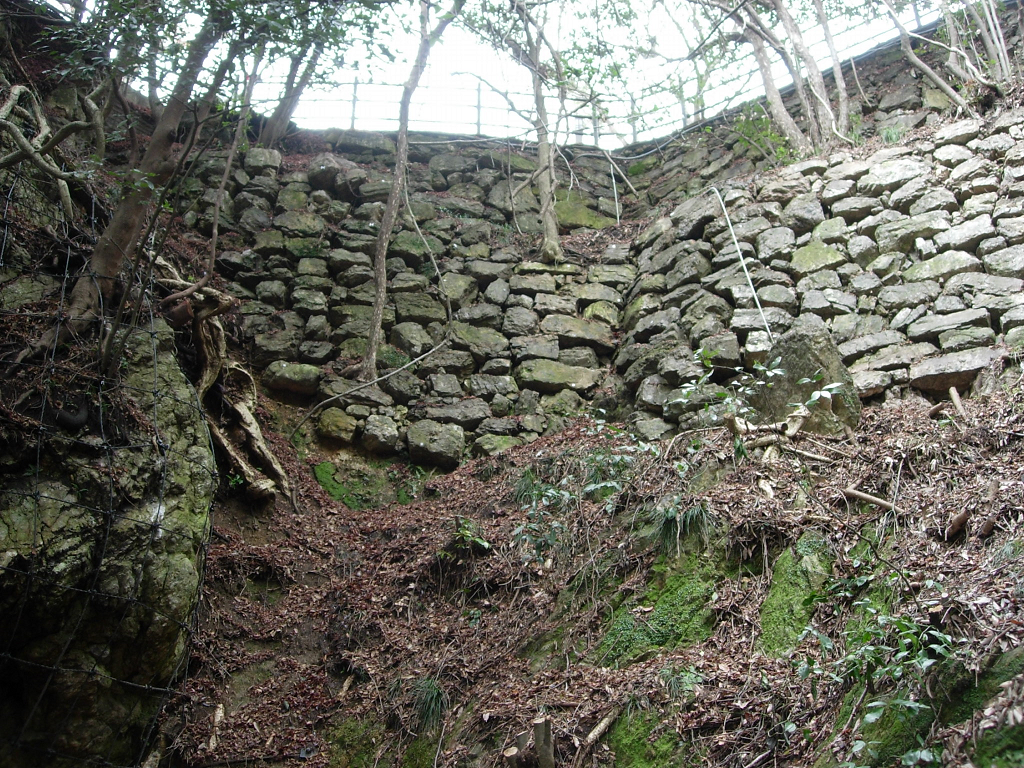 姿を現わした岐阜城山上部の石垣