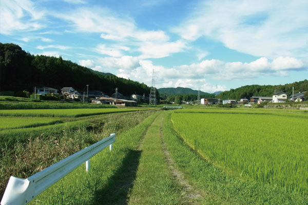 髙天神城三の丸より南方を望む。この眺めの爽快感に、この城を守った人々は何を想っていたのだろうか