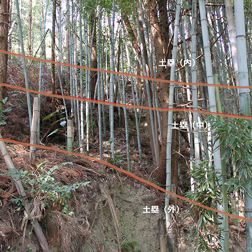 高天神城大池と三重の縦堀群