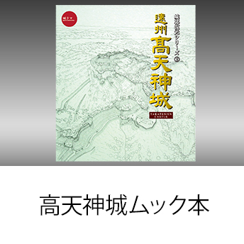 城ラマシリーズ第二弾 高天神城ムック本